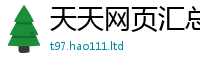 2025精准资料大全免费由王中王493333特马王中王